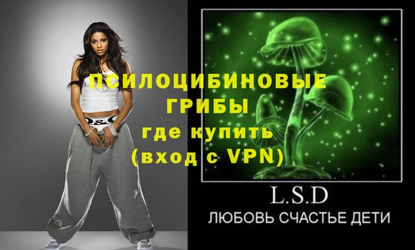 ГАЛЛЮЦИНОГЕННЫЕ ГРИБЫ Пестово