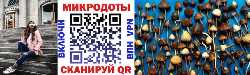 что такое   Анива  Псилоцибиновые грибы MAGIC MUSHROOMS 